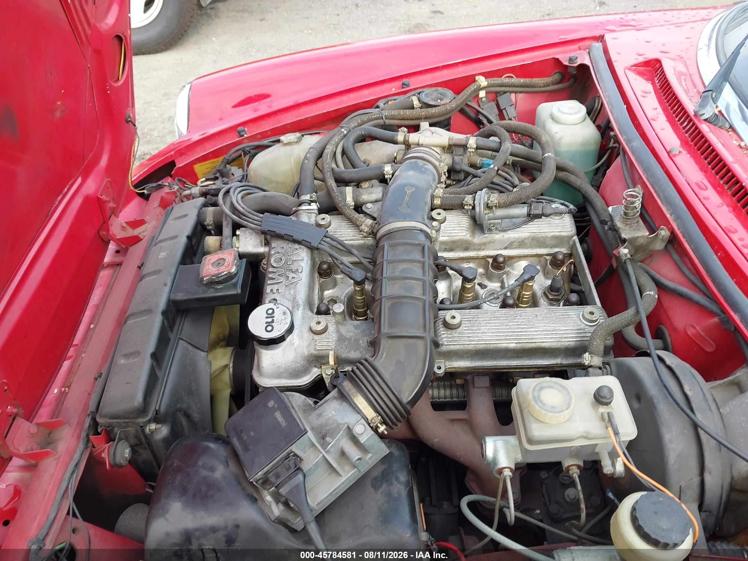 1987 Alfa Romeo Spider Graduate Red vin: ZARBA5648H1045552