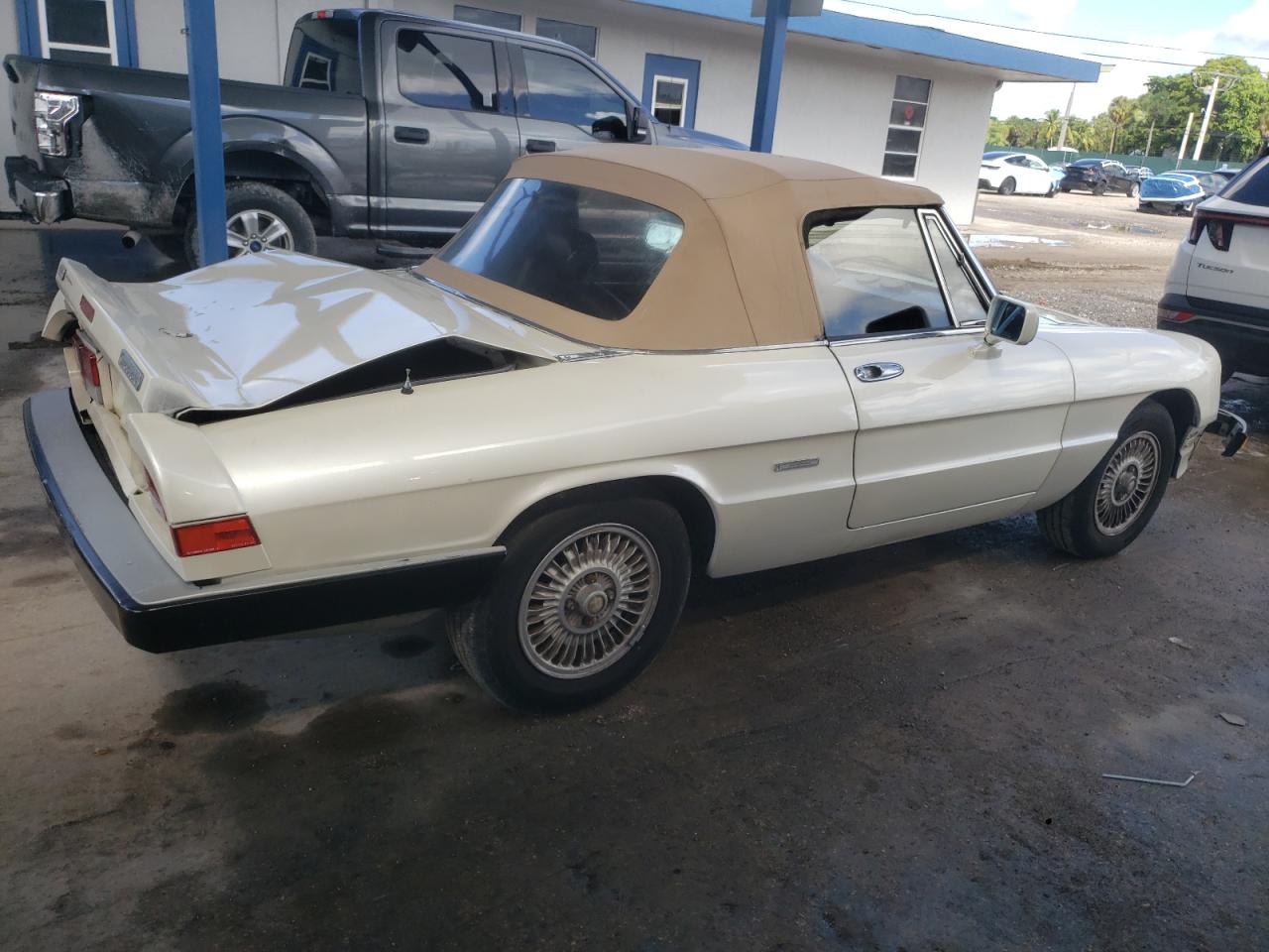 1989 Alfa Romeo Spider Graduate Бежевый vin: ZARBA5648K6000119