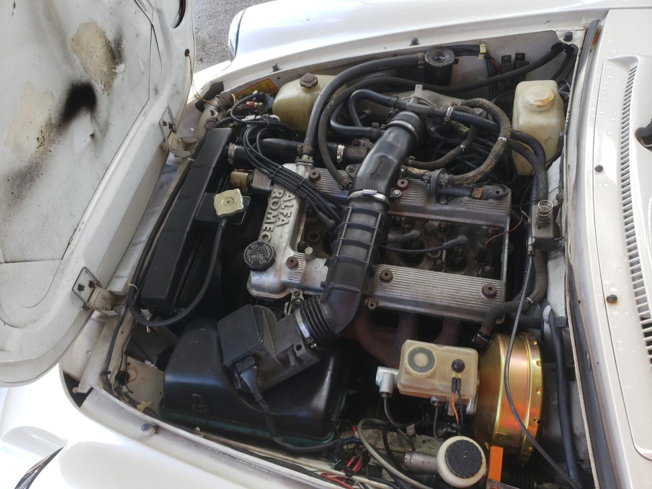 1989 Alfa Romeo Spider Graduate Бежевый vin: ZARBA5648K6000119