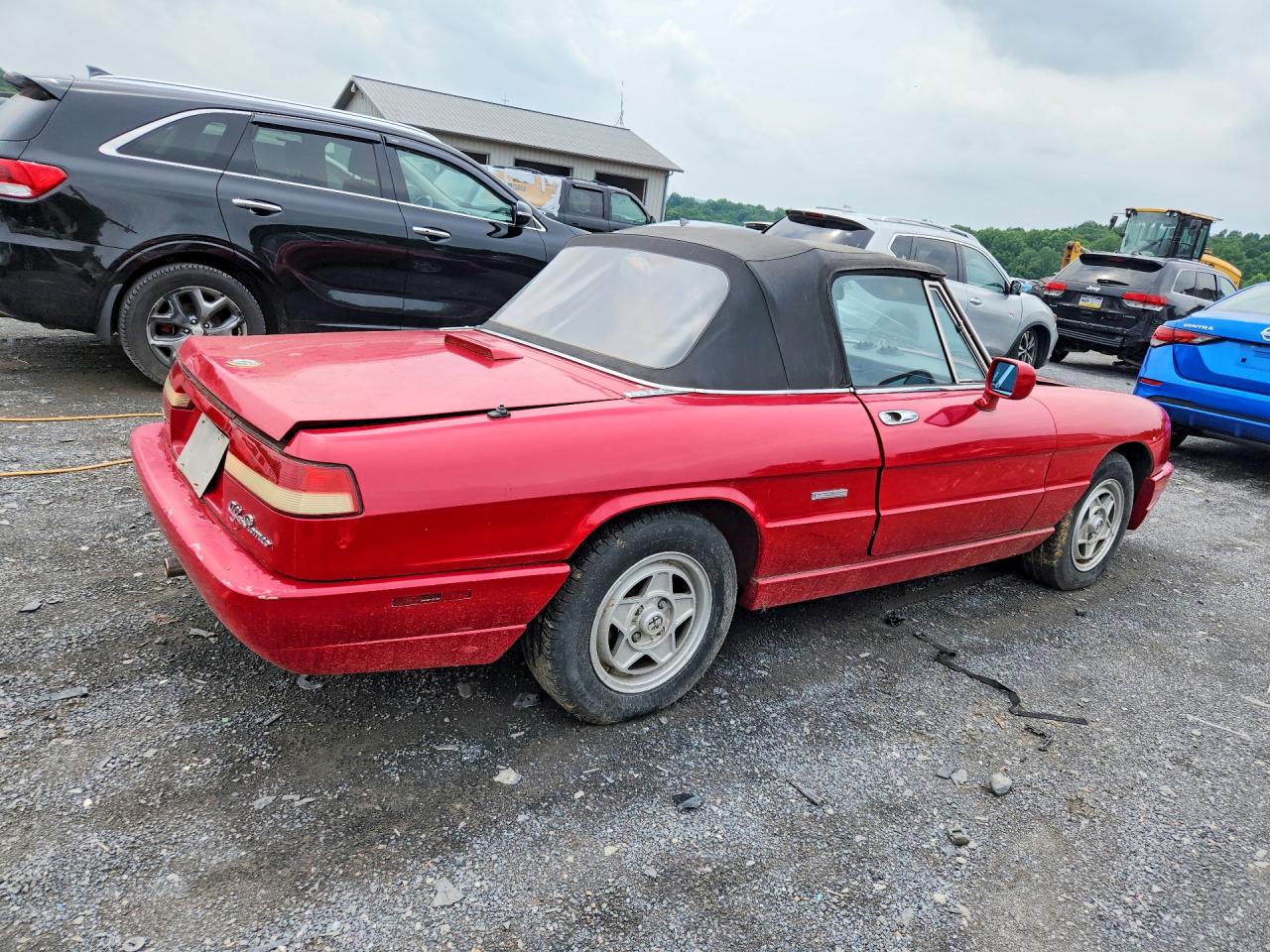 1991 Alfa Romeo Romeo Red vin: ZARBB32G1M6005201