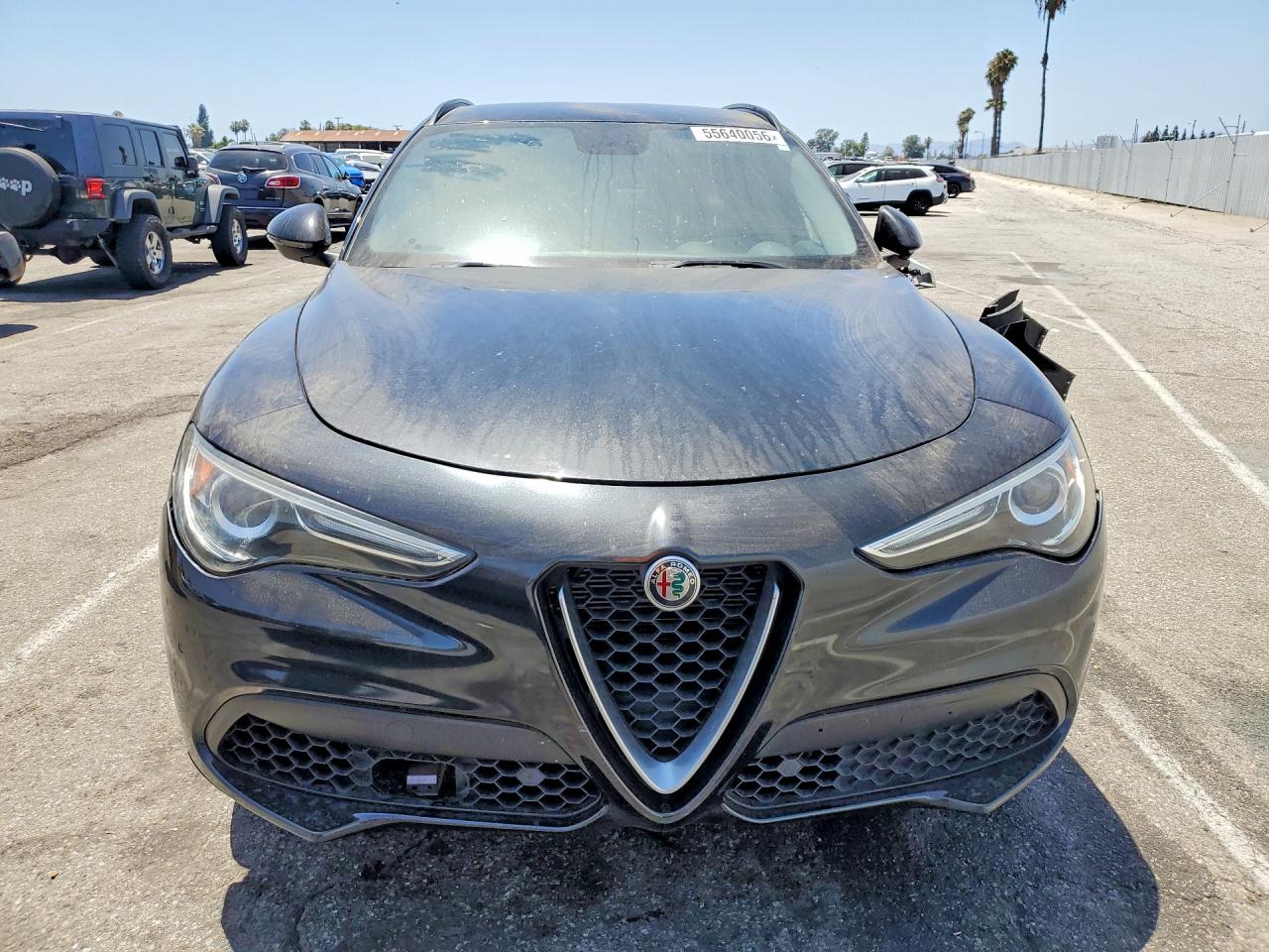 2019 Alfa Romeo Stelvio Black vin: ZASPAKANXK7C41468
