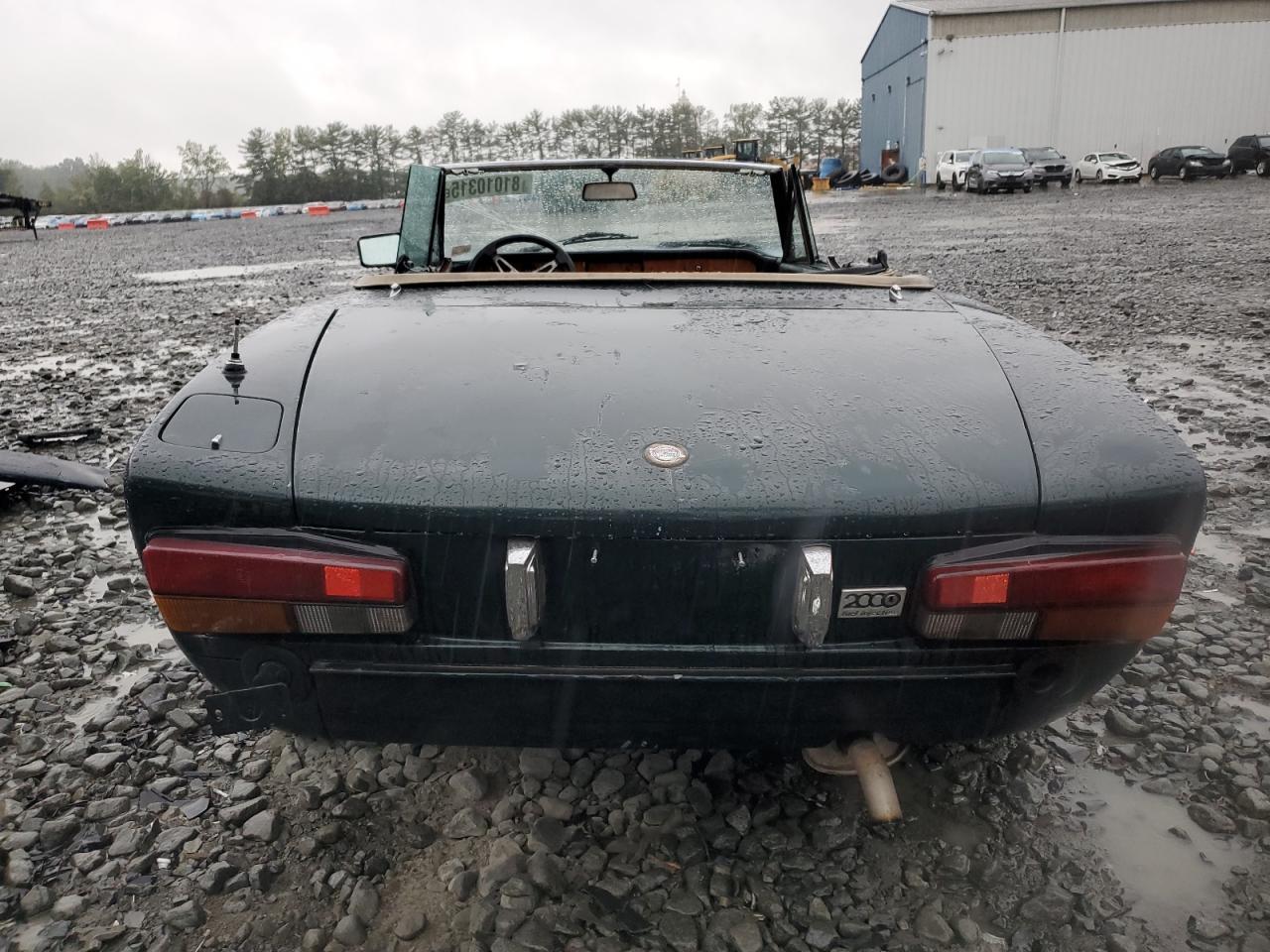 1982 Fiat 124 Spider Green vin: ZFAAS00B2C5002282