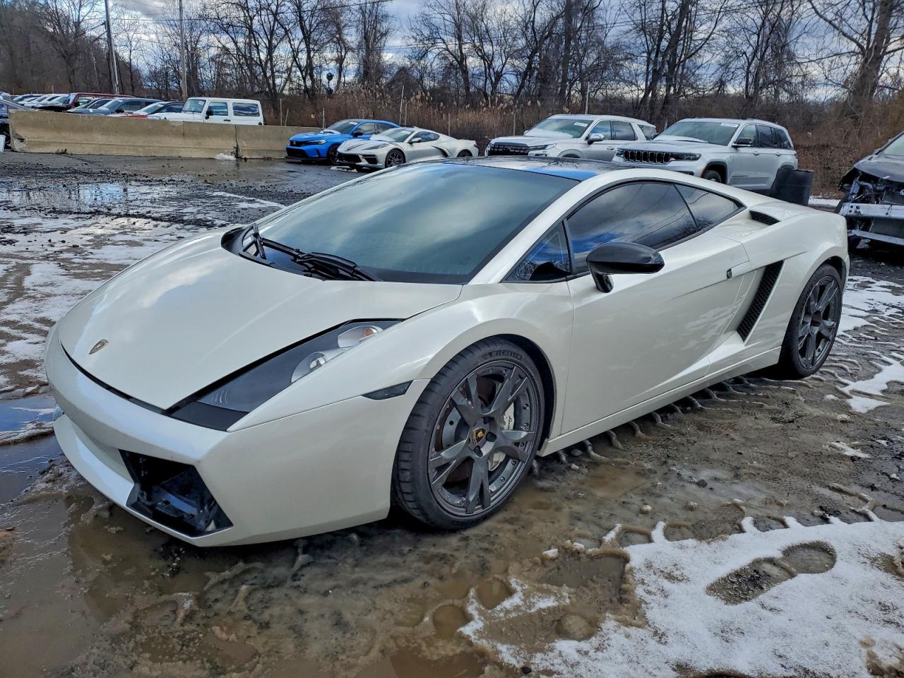 2006 Lamborghini Gallardo Se Белый vin: ZHWGU12T66LA03289