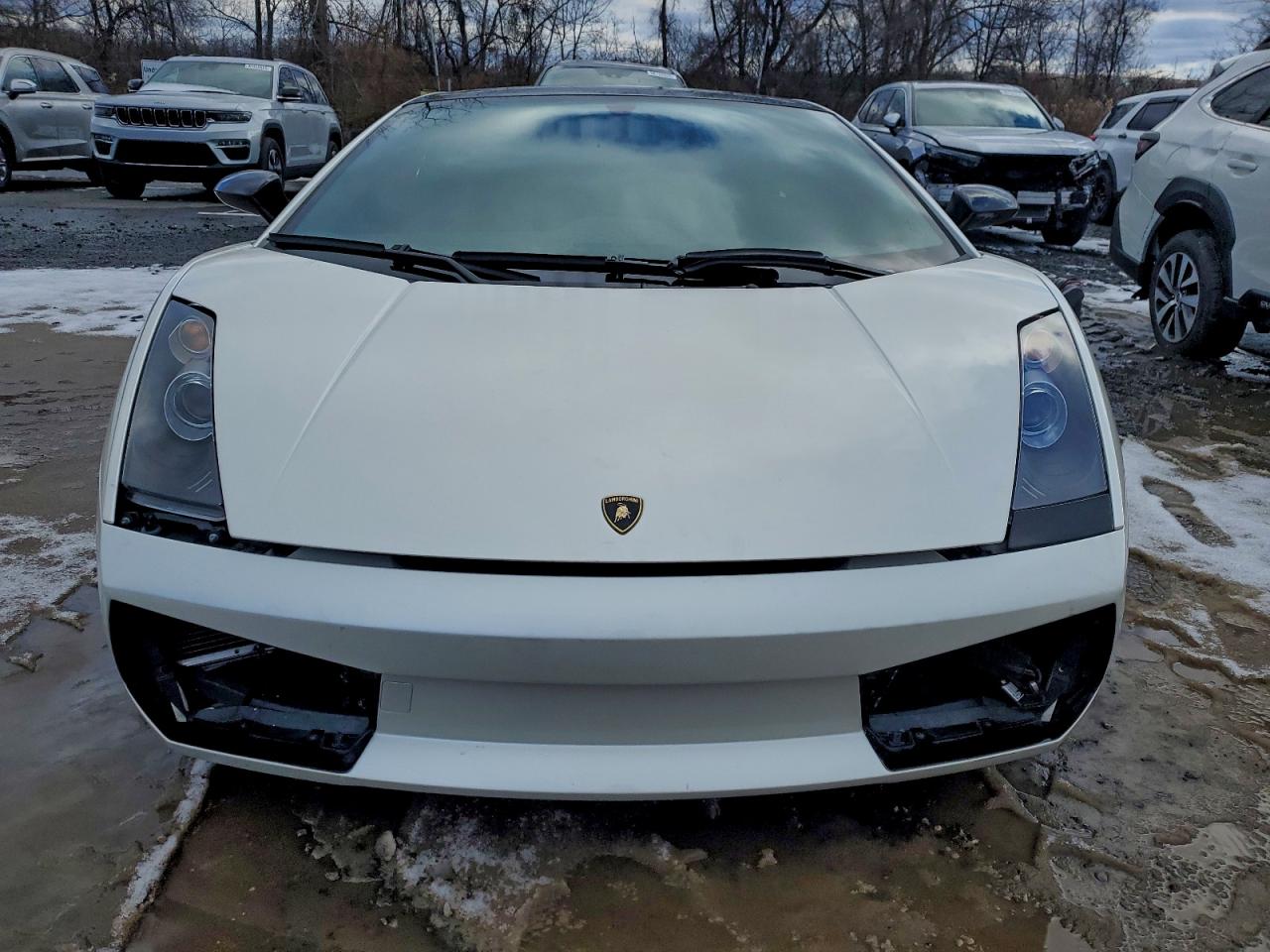 2006 Lamborghini Gallardo Se White vin: ZHWGU12T66LA03289