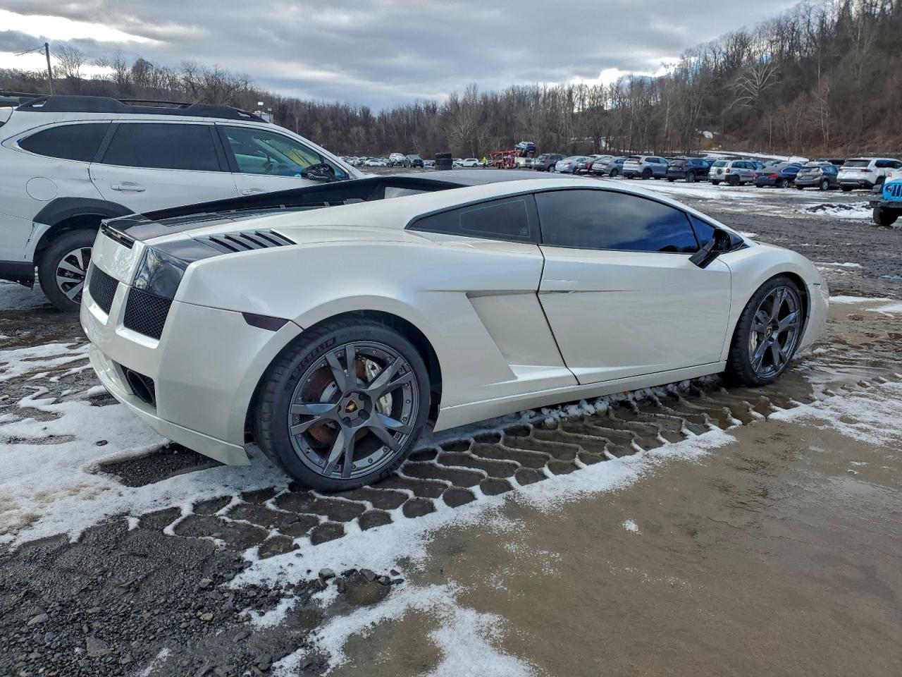 2006 Lamborghini Gallardo Se White vin: ZHWGU12T66LA03289